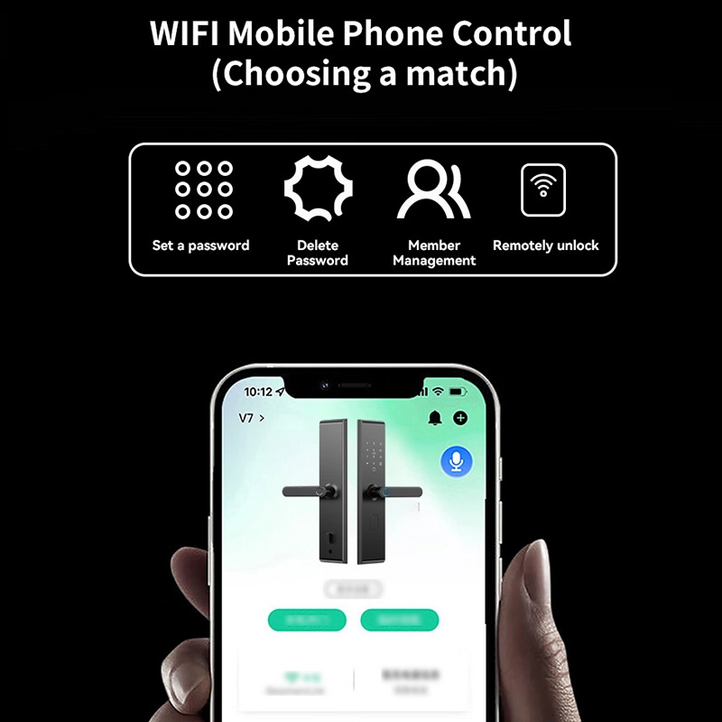 Cina Smart Lock BSI26S - COPY - p6fldp produttore