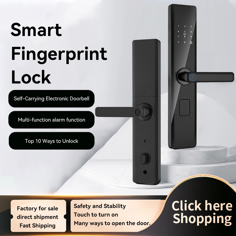 China Smart Lock BSI5 manufacturer