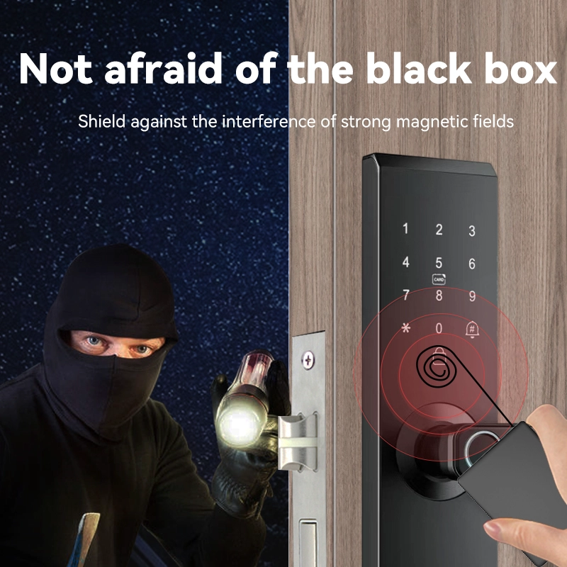 China Smart Lock BSI6 manufacturer