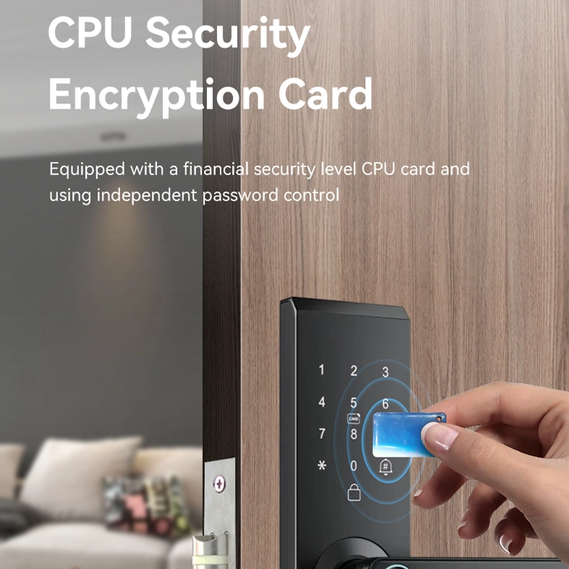 Cina Smart Lock BSI26S - COPY - 3kaavu produttore