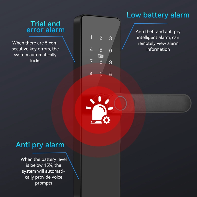 China Smart Lock BSI T36 manufacturer