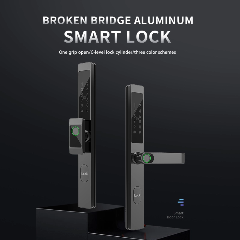 China Smart Lock BSI T36 - COPY - 330rlw Hersteller