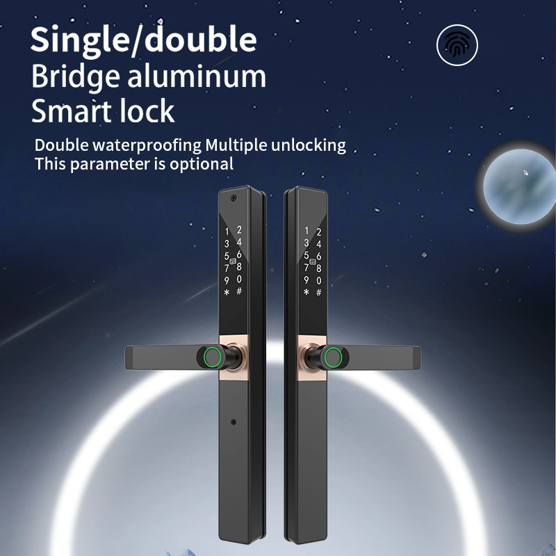 China Smart Lock BSI T46DF manufacturer