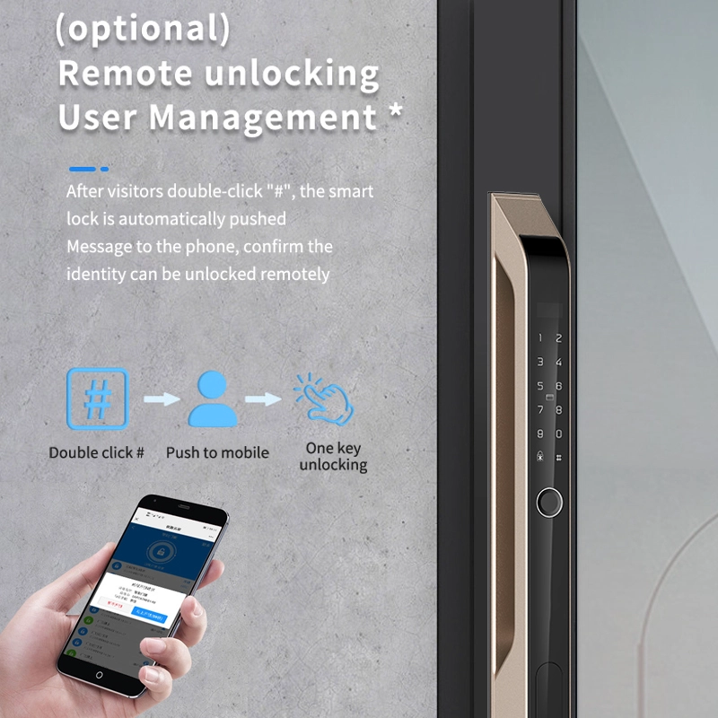 中国 Smart Lock BSI T46DF - COPY - w5hbtl メーカー