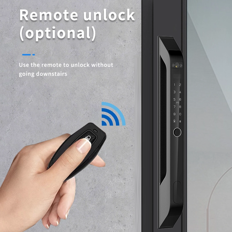 中国 Smart Lock BSI T46DF - COPY - w5hbtl メーカー