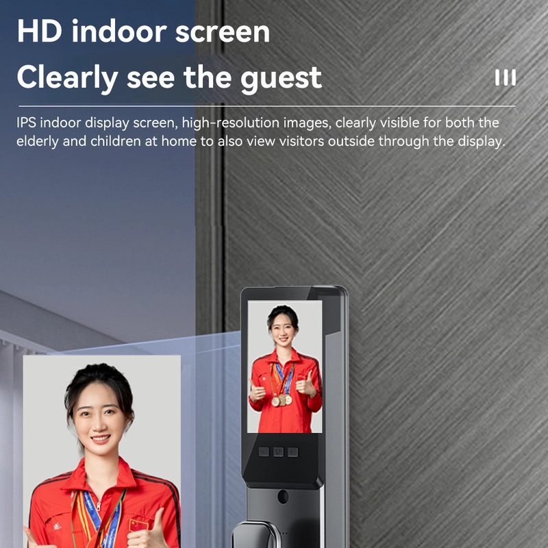 China Smart Lock BSI 65S manufacturer