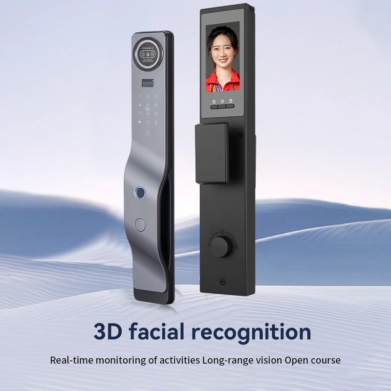 China Smart Lock BSI 65S manufacturer