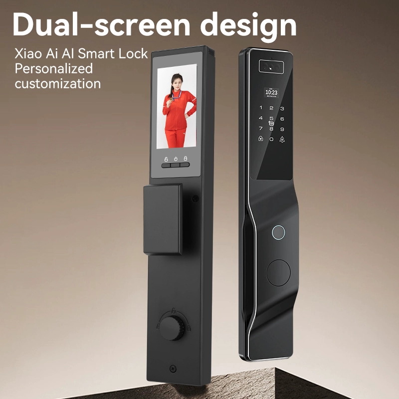 China Smart Lock BSI 67S manufacturer