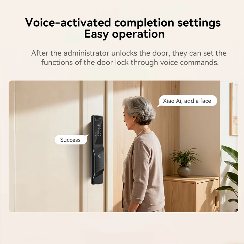 中国 Smart Lock BSI 65S - COPY - pn39ph メーカー