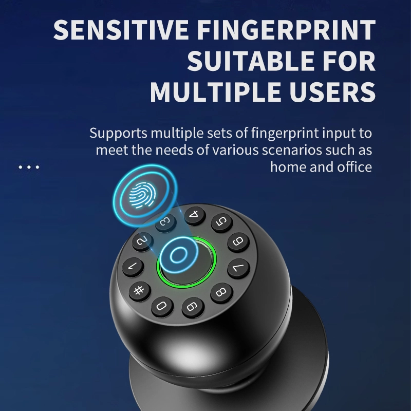 China Smart Lock BSI D12 manufacturer