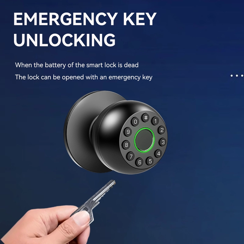 China Smart Lock BSI D12 manufacturer