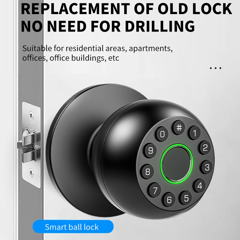China Smart Lock BSI D12 manufacturer