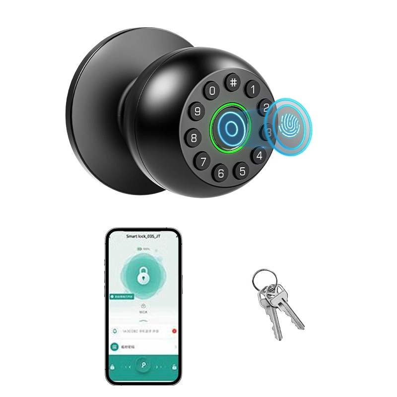 China Smart Lock BSI D12 manufacturer