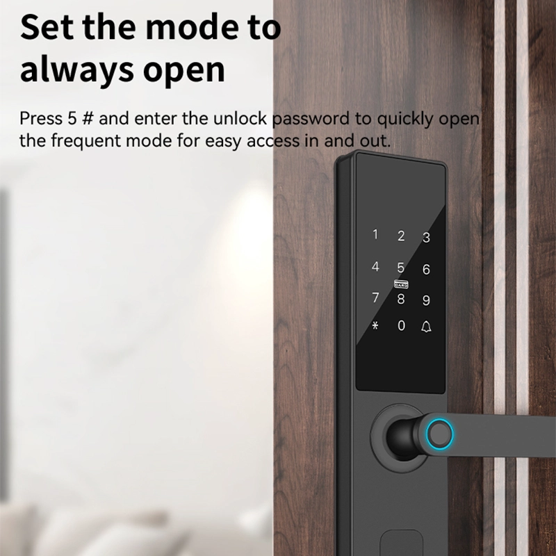 China Smart Lock BSI 20D manufacturer