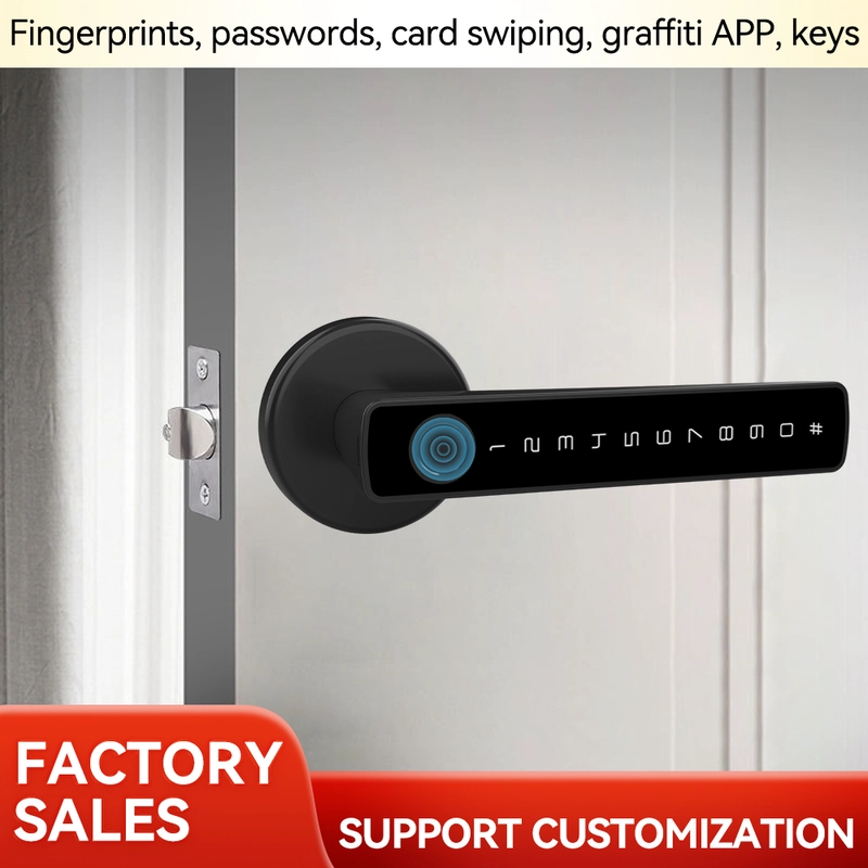 China Smart Lock BSI 20DM manufacturer