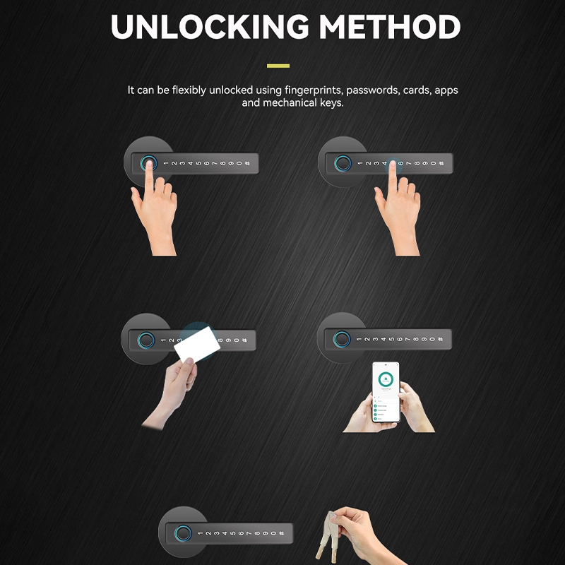 China Smart Lock BSI 65S - COPY - e12rua Hersteller