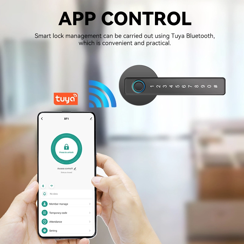 China Smart Lock BSI 65S - COPY - e12rua Hersteller