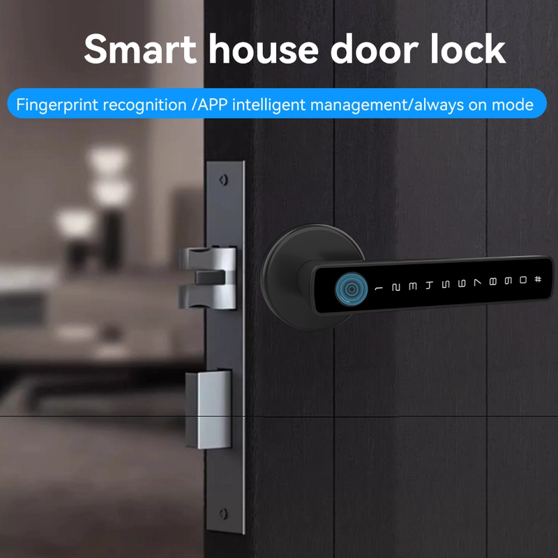 China Smart Lock BSI 65S - COPY - e12rua Hersteller