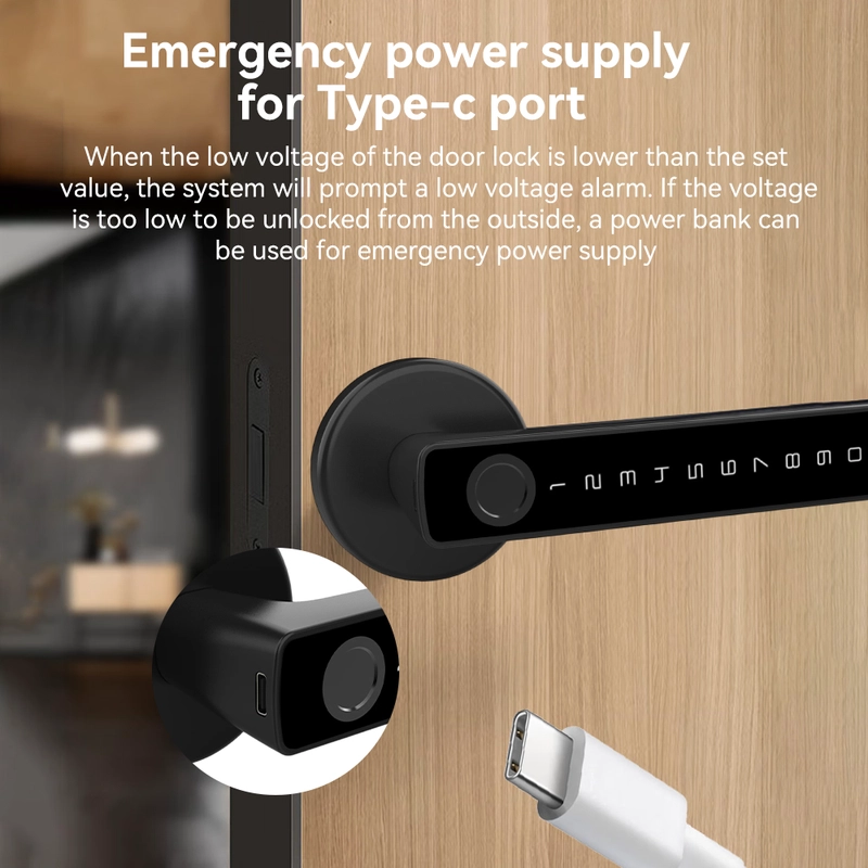China Smart Lock BSI 65S - COPY - e12rua Hersteller