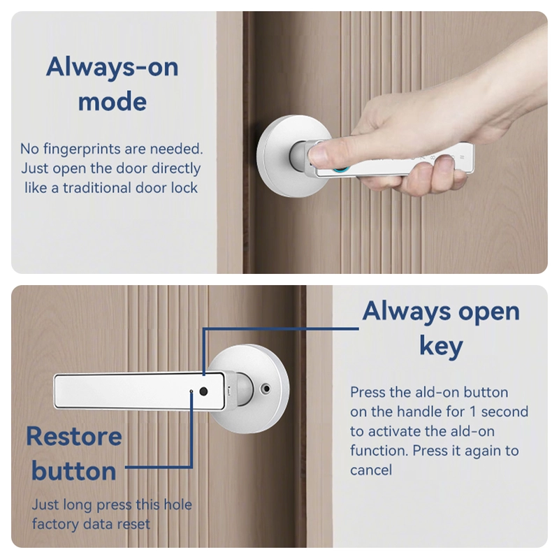 China Smart Lock BSI 20D-silver manufacturer