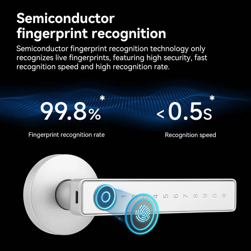 China Smart Lock BSI 20D-silver manufacturer