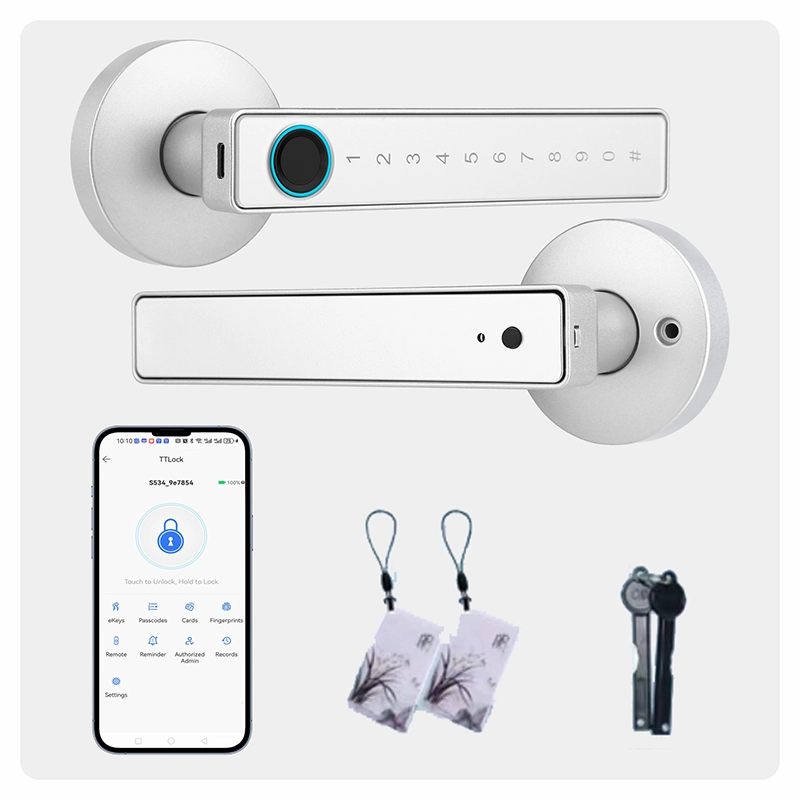 China Smart Lock BSI 20D-silver manufacturer