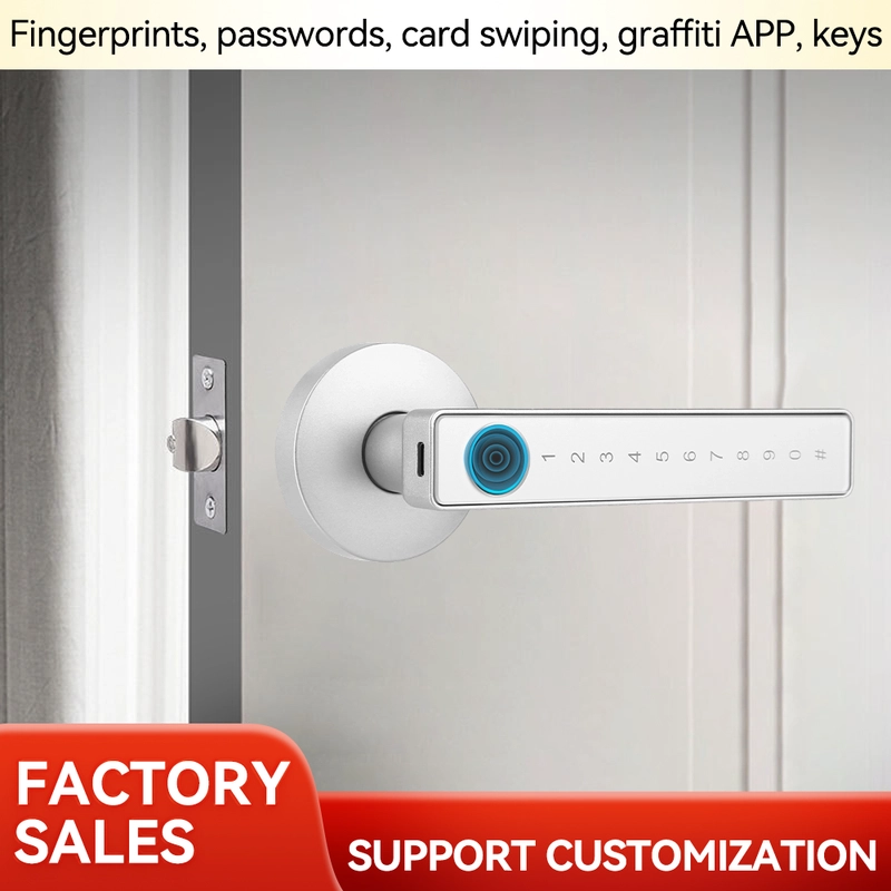 China Smart Lock BSI 20D-silver manufacturer