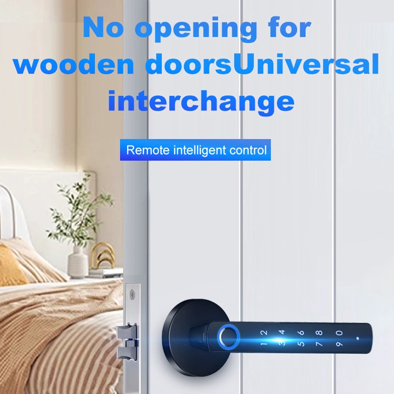 China Smart Lock BSI 19 manufacturer