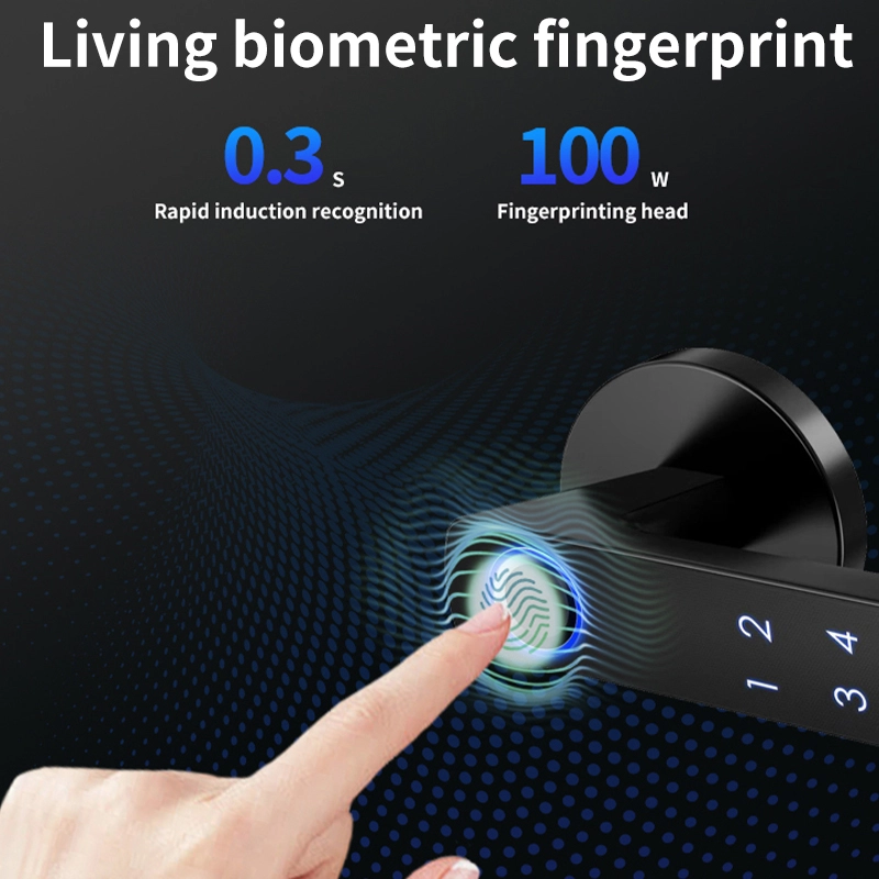 China Smart Lock BSI 19 manufacturer