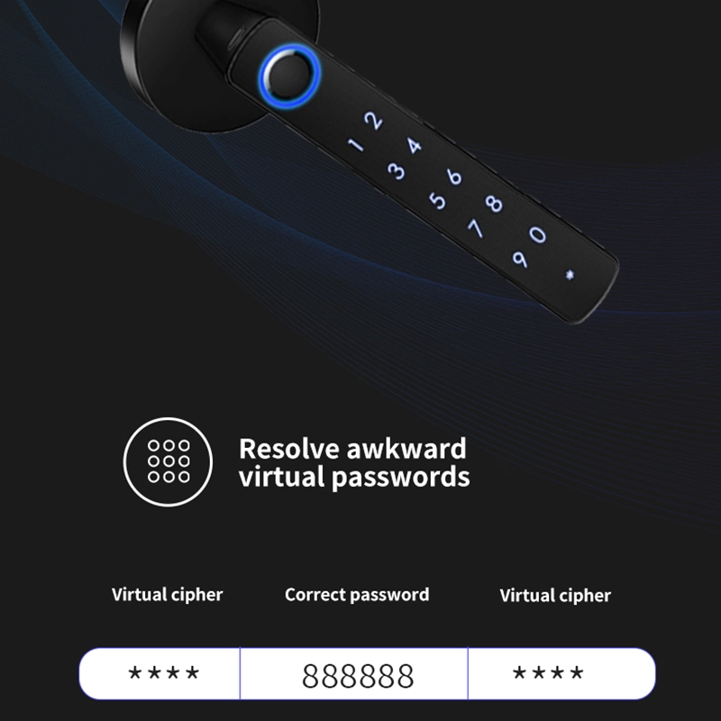 China Smart Lock BSI 19 manufacturer