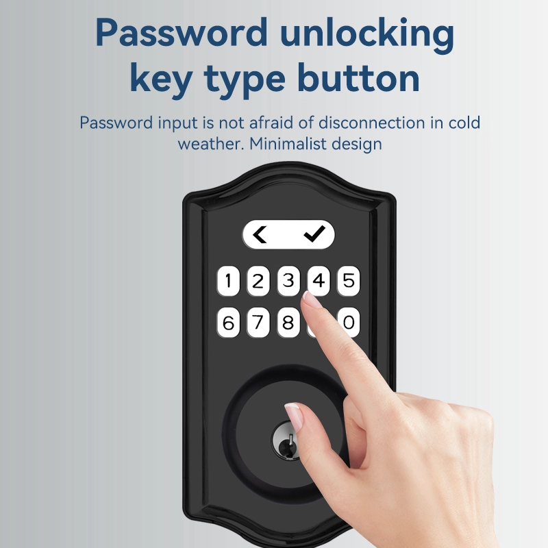 China Smart Lock BSI D02 manufacturer