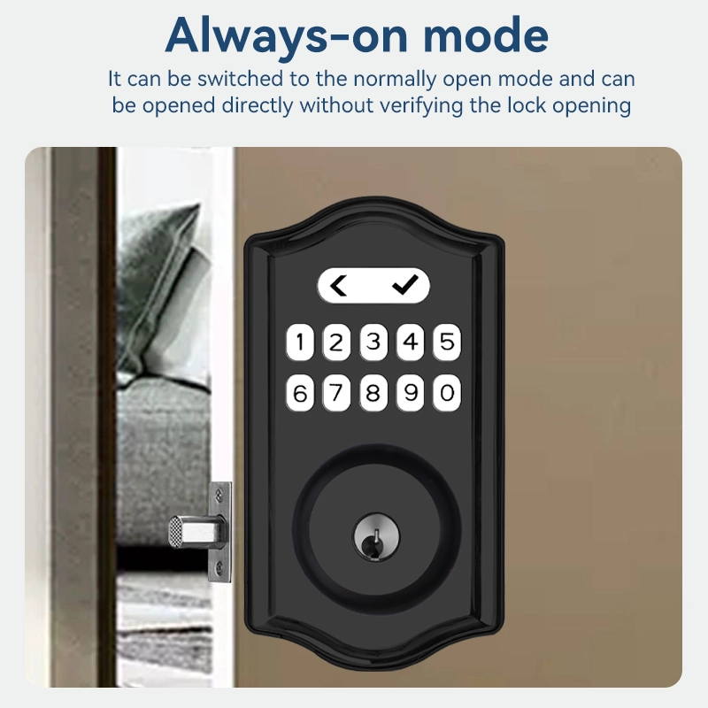 China Smart Lock BSI D02 manufacturer