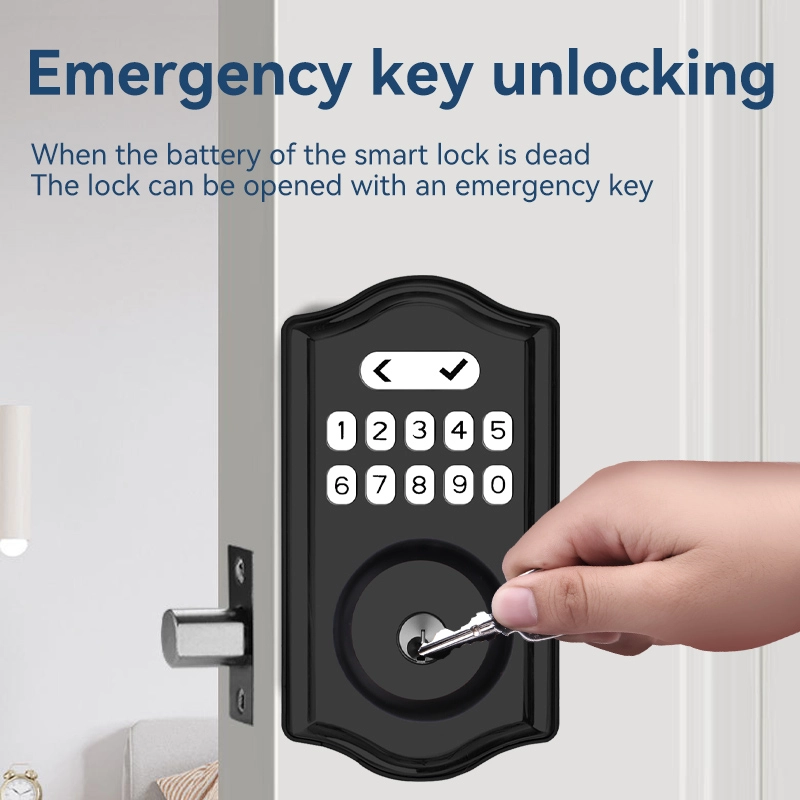China Smart Lock BSI D02 manufacturer