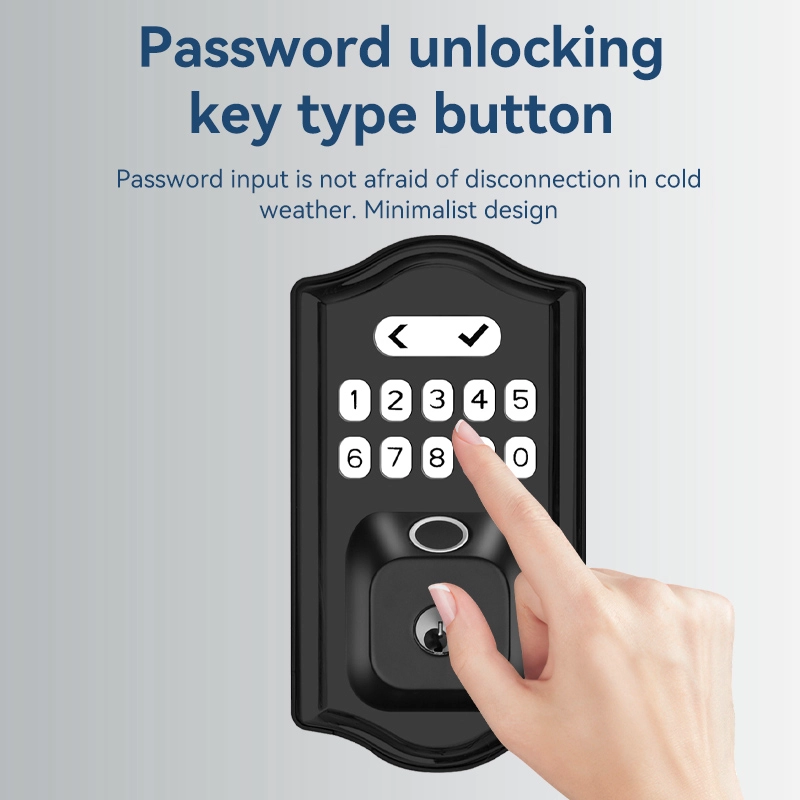China Smart Lock BSI D06 manufacturer