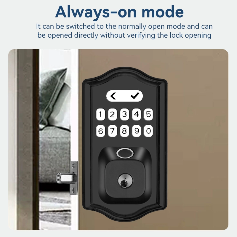 China Smart Lock BSI D06 manufacturer