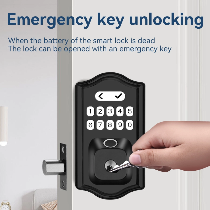 China Smart Lock BSI D06 manufacturer