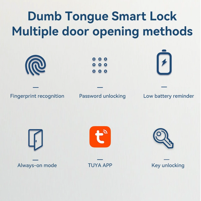 China Smart Lock BSI D06 manufacturer