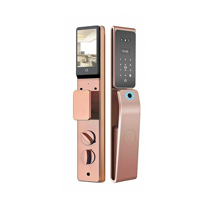 China Smart Lock BSI T30F manufacturer