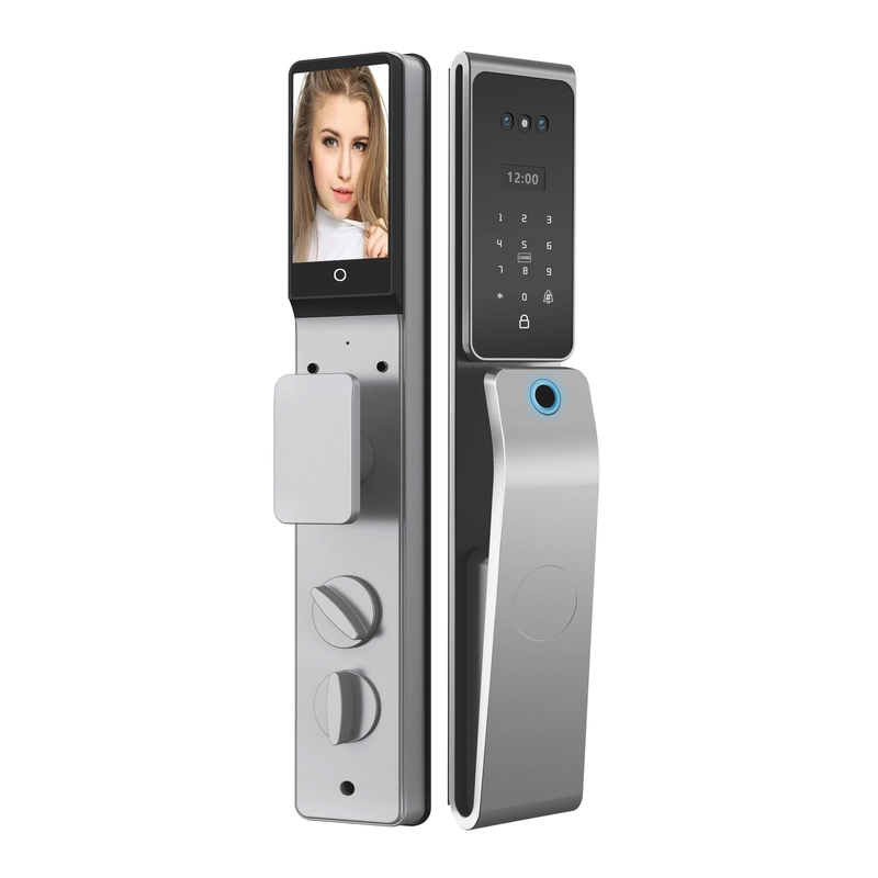 China Smart Lock BSI T30F manufacturer