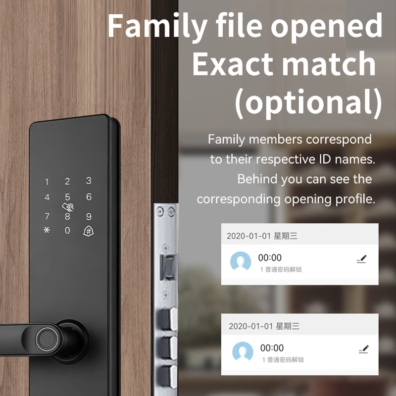 Китай Smart Lock BSI T60S - COPY - joj40h производителя