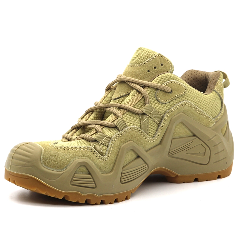 China TM1904 Abrasion resistant non slip waterproof fashionable men jungle boots hiking sport shoes manufacturer