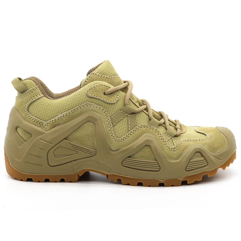 China TM1904 Abrasion resistant non slip waterproof fashionable men jungle boots hiking sport shoes manufacturer