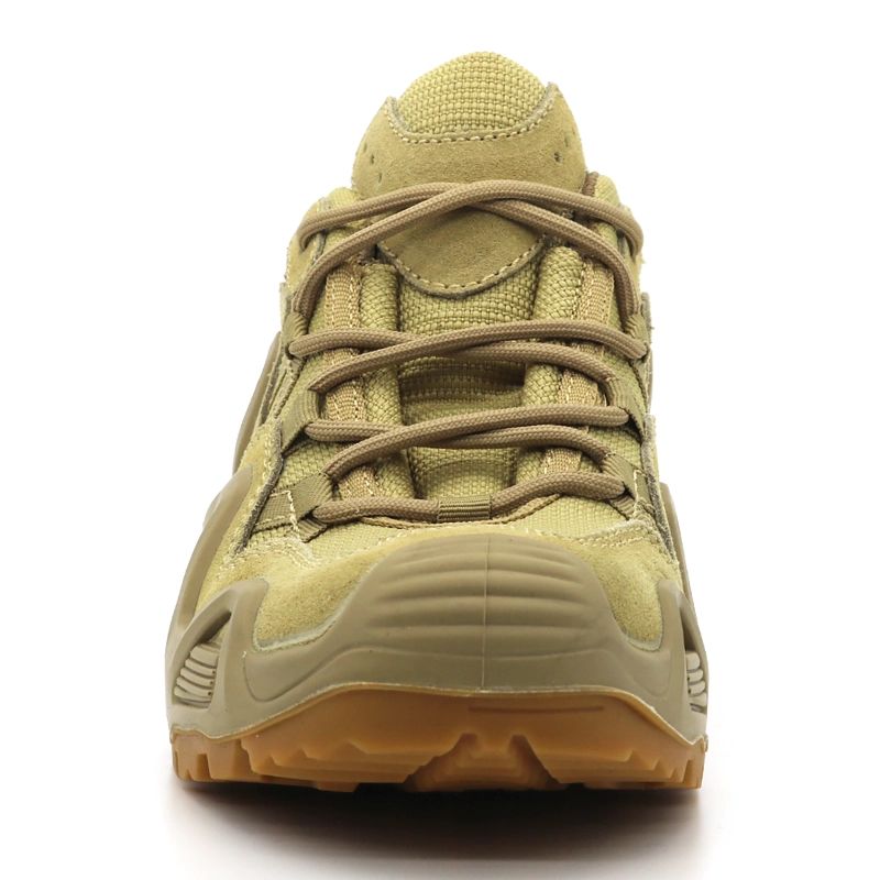 China TM1904 Abrasion resistant non slip waterproof fashionable men jungle boots hiking sport shoes manufacturer