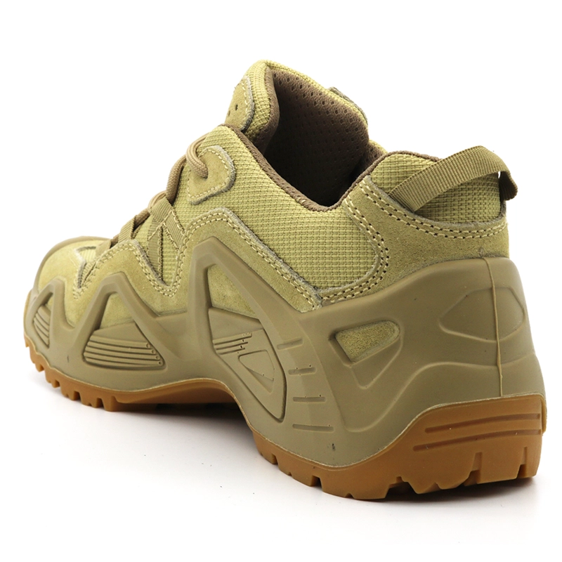 China TM1904 Abrasion resistant non slip waterproof fashionable men jungle boots hiking sport shoes manufacturer