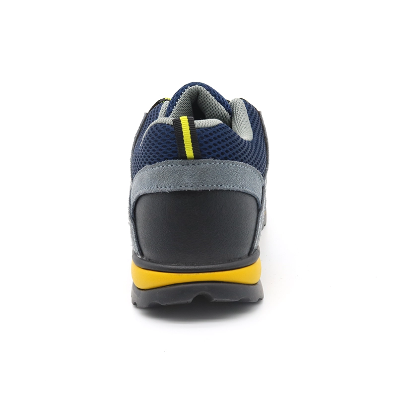 China TM246 Oil acid resistant rubber sole steel toe anti puncutre sport type safety shoes for women manufacturer
