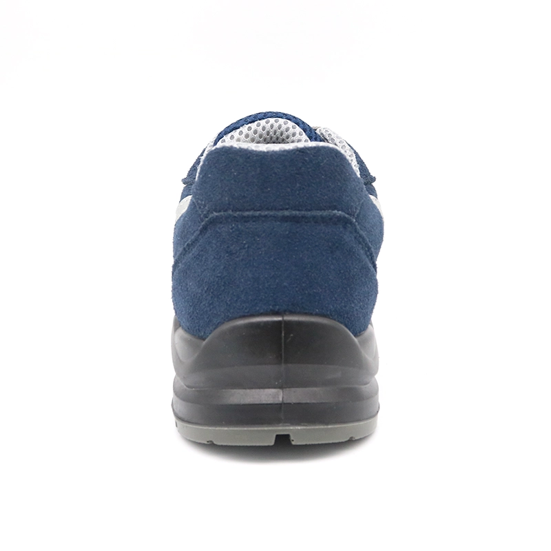 Cina TM2019 SCARPE SPECIALE SPEGNICA SPEGNICA SPEGNICA DI TM2019 produttore