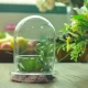 China glass cloche bell jar manufacturer