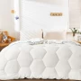 China High Standard Hotels Honeycomb Cloud Quilt OEM ODM Reversible Twin XL China Comforter Quilt Supplier manufacturer