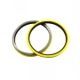 China Heavy duty oil seal with yellow silicone ring Part No.CR4050 manufacturer