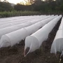 China Fornecedor de cobertor vegetal não tecido Cobertura de segurança para planta de morango Folha de filme de cobertura morta biodegradável fabricante